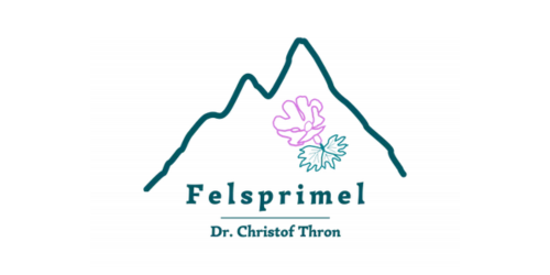 Felsprimel
